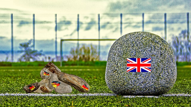 也因其刺激 也因其刺激