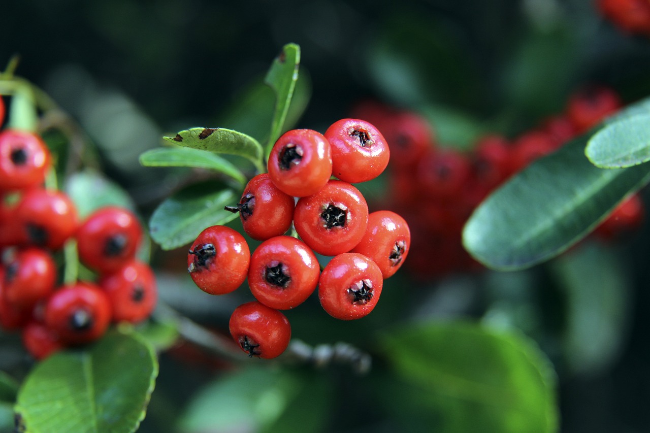 廣州恒越 廣州恒越