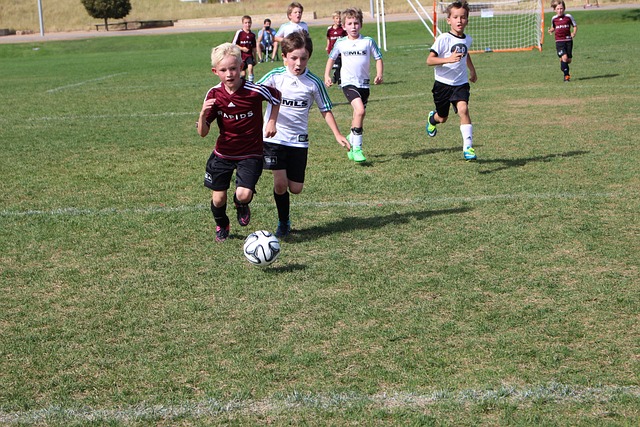 如火如荼的 如火如荼的