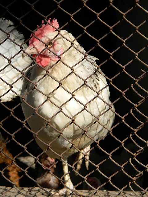 于拜仁而言 于拜仁而言