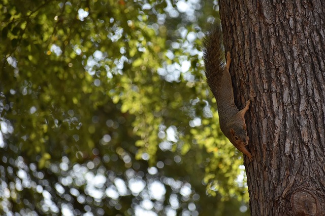 为您揭开这 为您揭开这