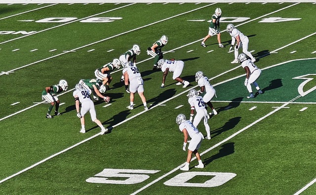 我们不仅看 我们不仅看